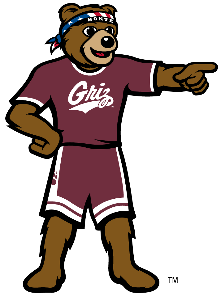 Montana Grizzlies 2010-Pres Mascot Logo v5 iron on transfers for T-shirts